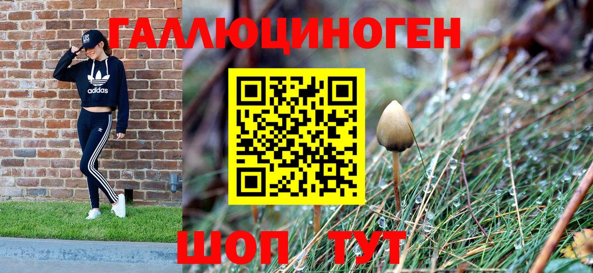 Псилоцибиновые грибы мицелий Калининград