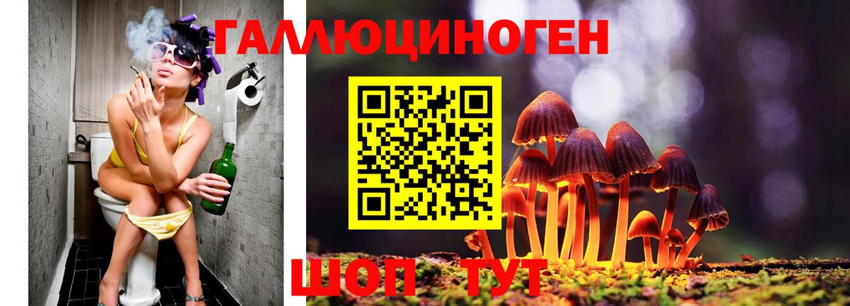 Калининград  Псилоцибиновые грибы Magic Shrooms  Галлюциногенные грибы MAGIC MUSHROOMS  Вход с VPN 