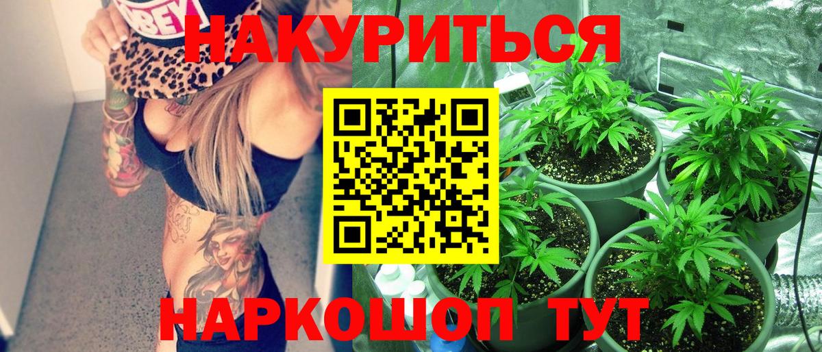 Канабис Bruce Banner  Каннабис OG Kush  Шишки марихуана White Widow  Вход с VPN  Каннабис план  Калининград 